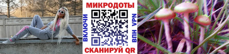блэк спрут зеркало  Володарск  Псилоцибиновые грибы Psilocybine cubensis 
